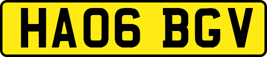 HA06BGV