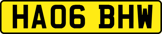 HA06BHW
