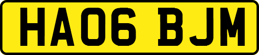 HA06BJM