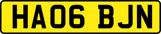 HA06BJN