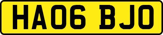 HA06BJO