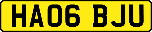 HA06BJU