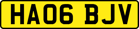 HA06BJV