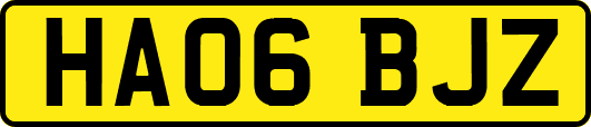 HA06BJZ