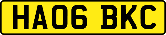 HA06BKC