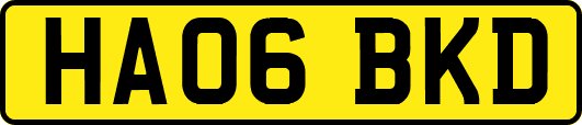 HA06BKD