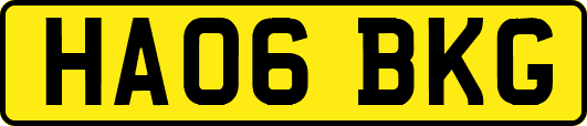 HA06BKG
