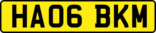 HA06BKM