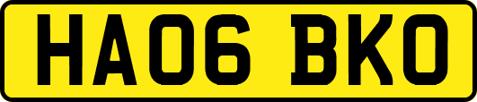 HA06BKO