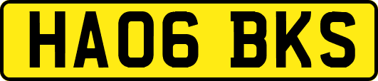 HA06BKS