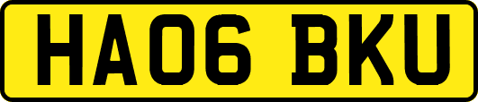 HA06BKU