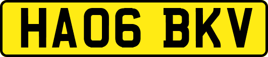 HA06BKV