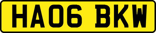HA06BKW