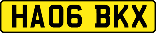 HA06BKX