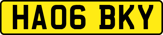 HA06BKY