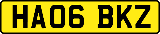 HA06BKZ