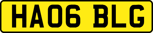 HA06BLG