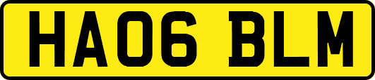 HA06BLM