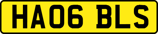 HA06BLS