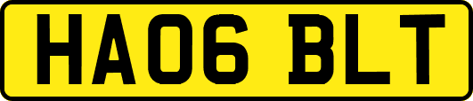 HA06BLT