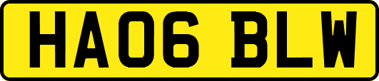 HA06BLW