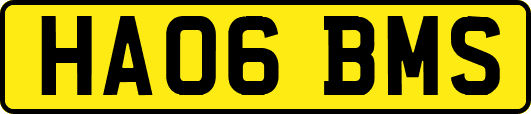 HA06BMS