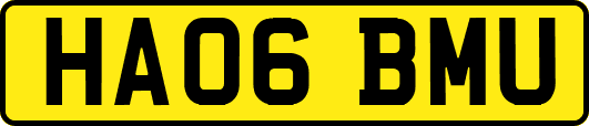 HA06BMU