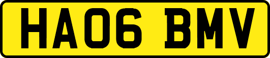 HA06BMV
