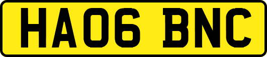 HA06BNC