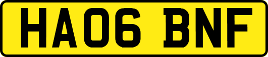 HA06BNF