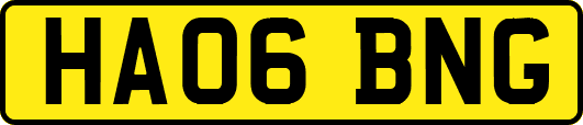 HA06BNG