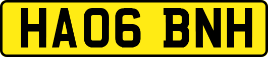 HA06BNH