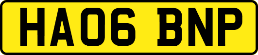 HA06BNP