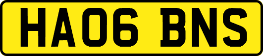 HA06BNS