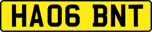 HA06BNT
