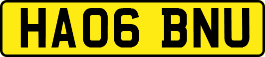HA06BNU