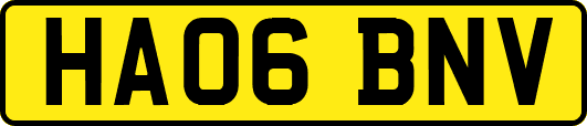 HA06BNV