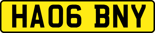 HA06BNY