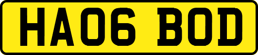 HA06BOD