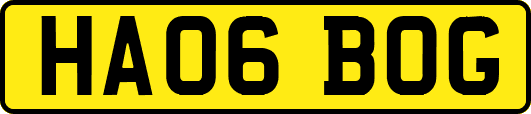 HA06BOG