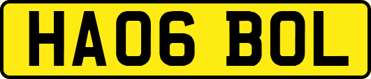 HA06BOL