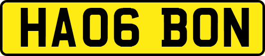 HA06BON