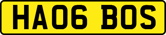 HA06BOS