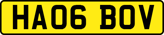 HA06BOV