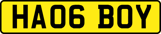 HA06BOY