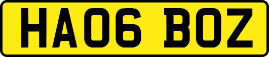 HA06BOZ