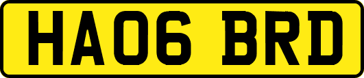 HA06BRD