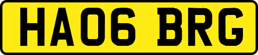 HA06BRG