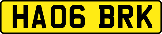 HA06BRK