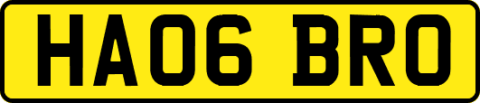 HA06BRO